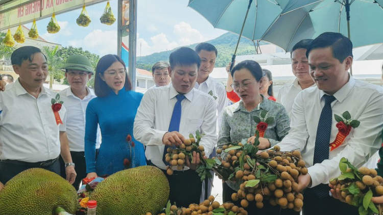Nông nghiệp miền núi: Đứng vững trên sân nhà, vươn xa ra thế giới