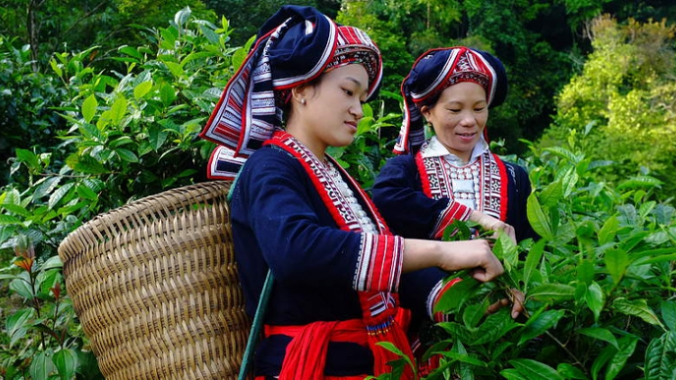 Tích cực hoàn thiện thông tư hướng dẫn chương trình Mục tiêu Quốc gia