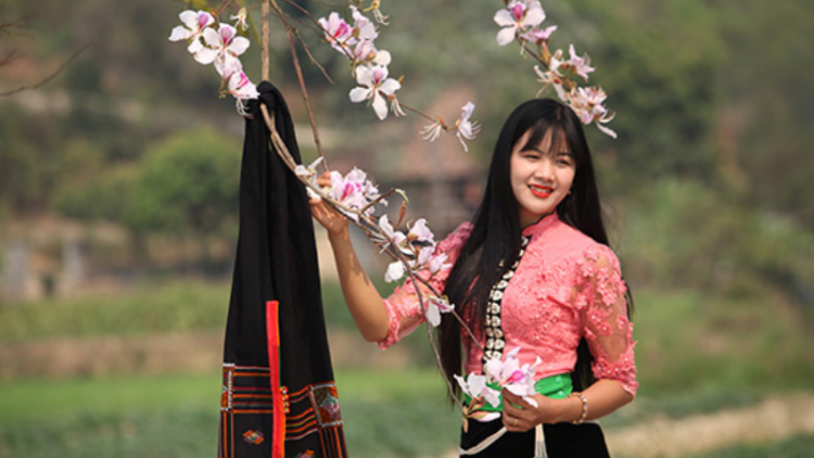 Tháng 3 lên Sơn La ngắm hoa ban nở