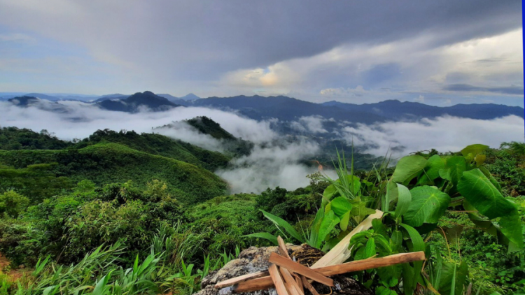 Mùa mây trên núi Ngọc Linh