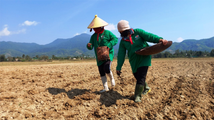 Phát triển nông nghiệp hữu cơ vùng đồng bào DTTS