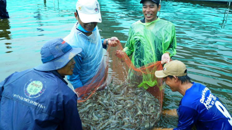 Hiệu quả của quỹ hỗ trợ nông dân tỉnh Bạc Liêu