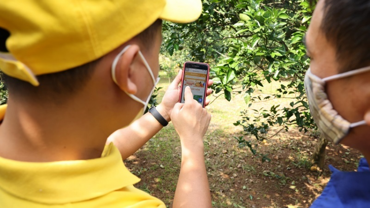 Nông dân Yên Bái đẩy mạnh kinh doanh trên sàn thương mại điện tử