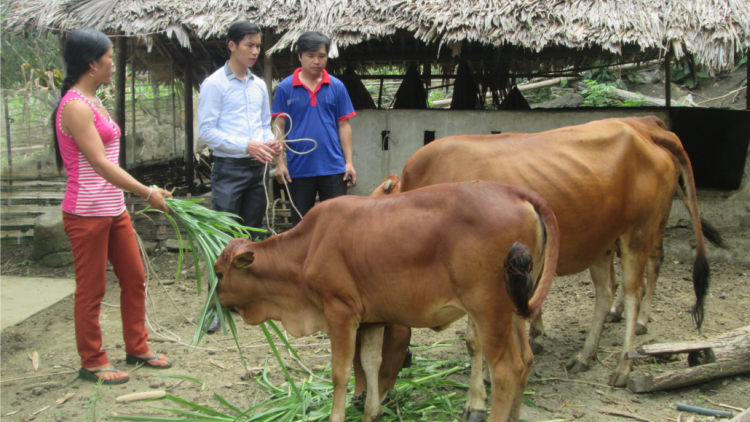 “Quỹ hỗ trợ nông dân” – Số vốn nhỏ, hiệu quả lớn