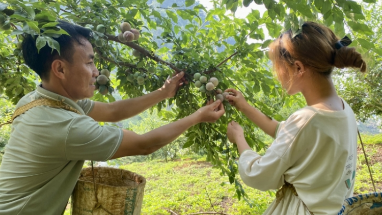 Thủ tướng sẽ đối thoại với nông dân