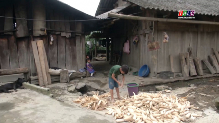 Mùa hè của trẻ vùng cao