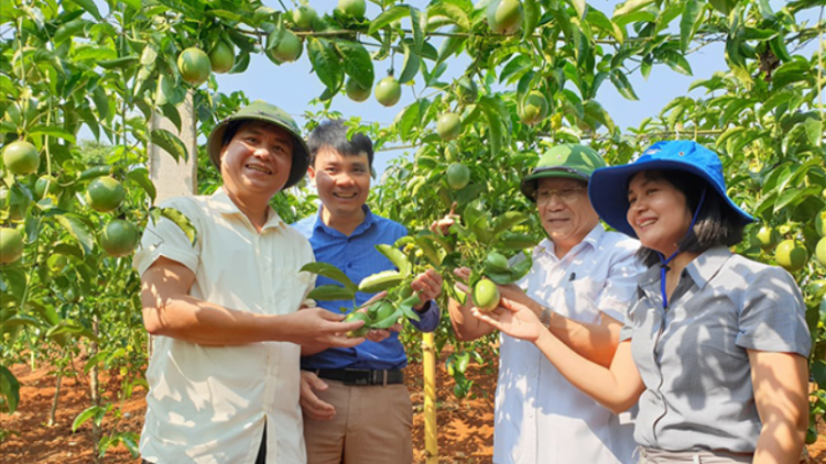 Bức tranh đổi thay ở vùng biên giới Việt - Lào