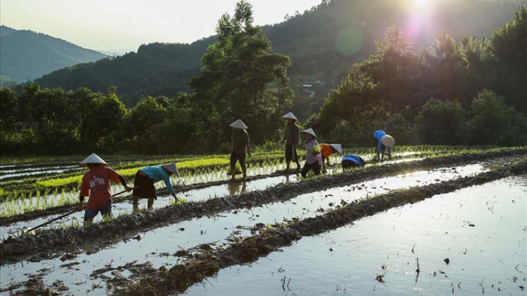 Ngắm mùa nước đổ trên vùng rẻo cao biên giới Bình Liêu, Quảng Ninh