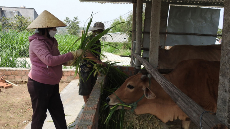 Kon Tum: Người khuyết tật tự tin vươn lên làm chủ số phận