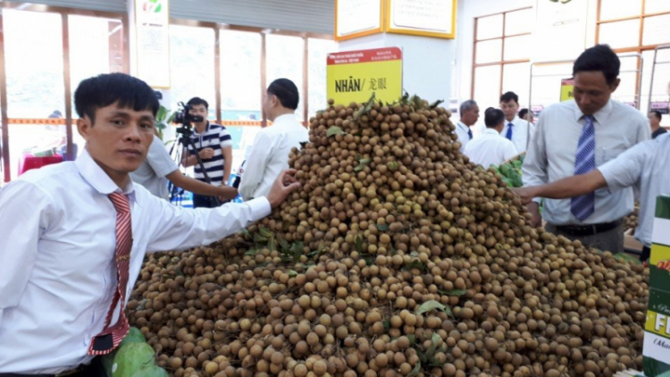 Những mong muốn của nông dân và HTX tại Sơn La gửi tới Hội nghị đối thoại giữa Thủ tướng và Nông dân Việt Nam.