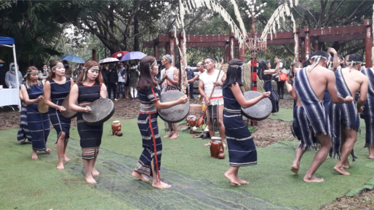 Cây nêu trong lễ hôi mừng lúa mới