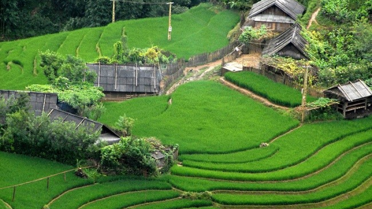 Bắc Hà điểm du lịch hấp dẫn nơi cao nguyên trắng