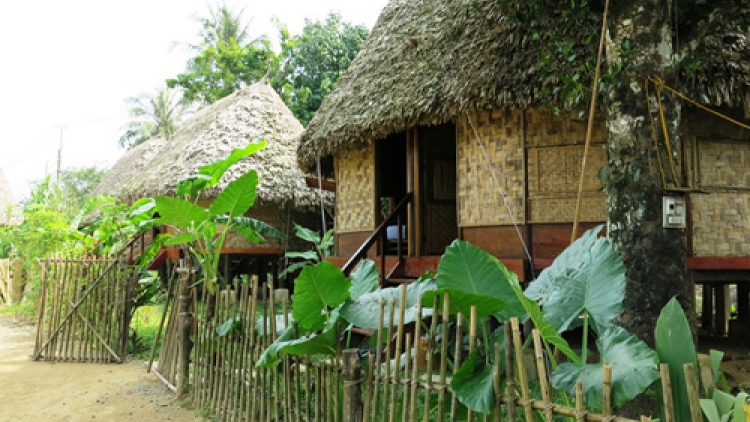 khau tin 10h30 saong 14h30 harei 8/5