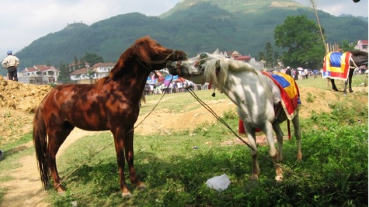 CHỢ TÌNH SA PA_ LÊ MINH