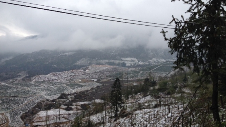 khau tin 19h harei 9/5