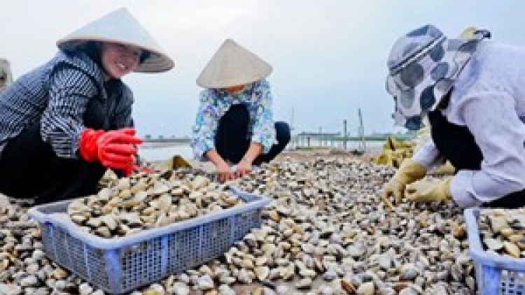 Thaik binguk urang kamei dahlau diah ngak thanh niên xung phong ngak mbang naih jioi