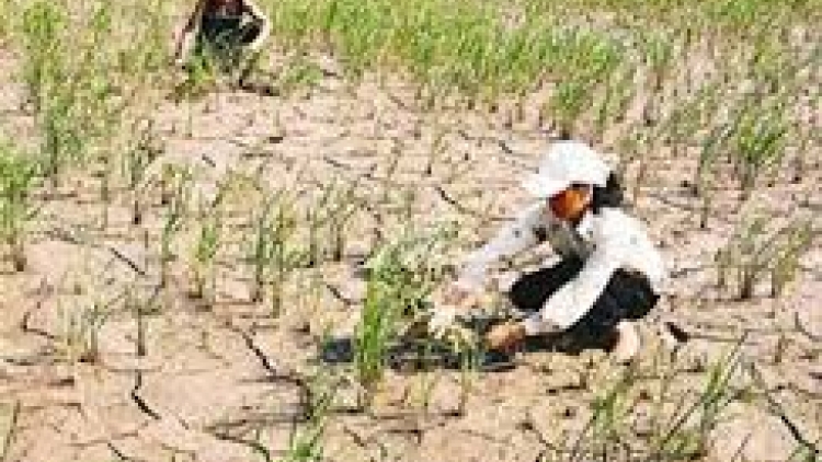 Bình Định đhanuôr zr’nắh k’đháp bhlầng đương zêl cha groong ch’noong goóh