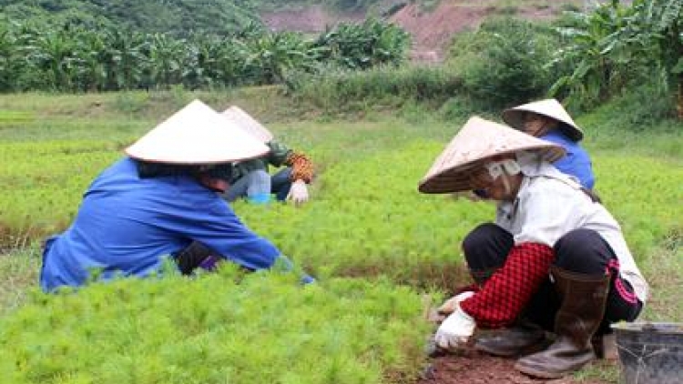 Tổ hợp tác- Pr’đhang bhrợ t’váih bh’rợ đoọng ha pân đil