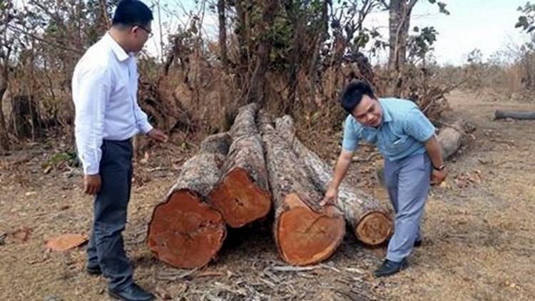 Roh hôp má 5, Ho#i đông hnê ngăn kong pơlê Dak Lak hneăng 9 : Kong  xuân oh tá tơniăn