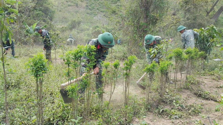 Gialai: Ivá hơnăm ối nếo veăng kum a pơlê cheăm hơngế