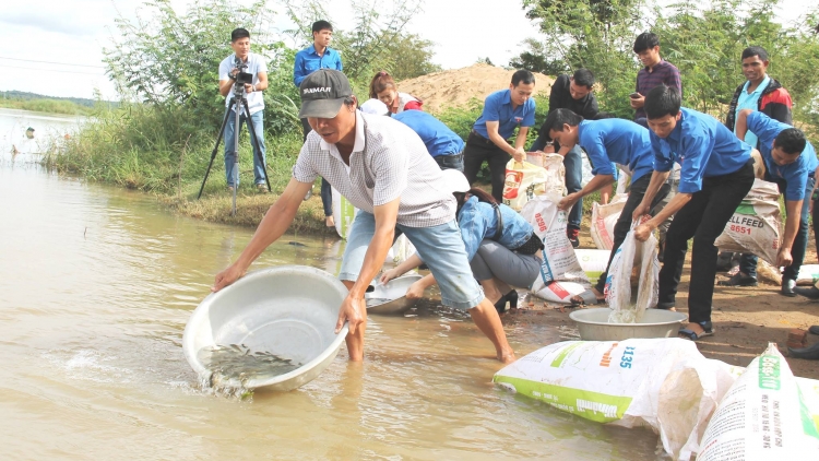 Dak Lak: Kơ’nêi lối 36 rơpâu hdrê ká a long têa
