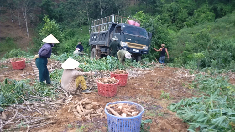 Kon Tum: Rơnó lâk pôm hiăng troh la xuân ối tô tuăn