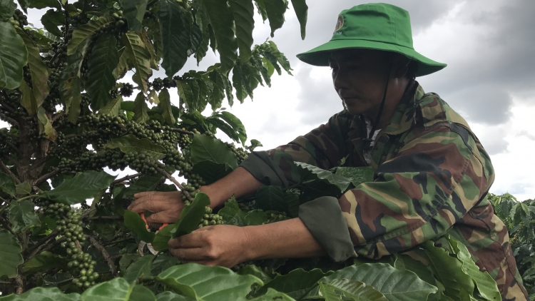 Ngế ‘’kơhnâ hnoăng cheăng pơlê pơla’’ pêi cheăng kâ rơkê a Dak Lak