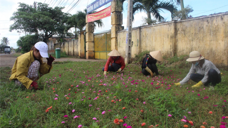 Vâi kơdrâi Dak Lak [a\ tơdroăng mơjiâng thôn pơlê nếo
