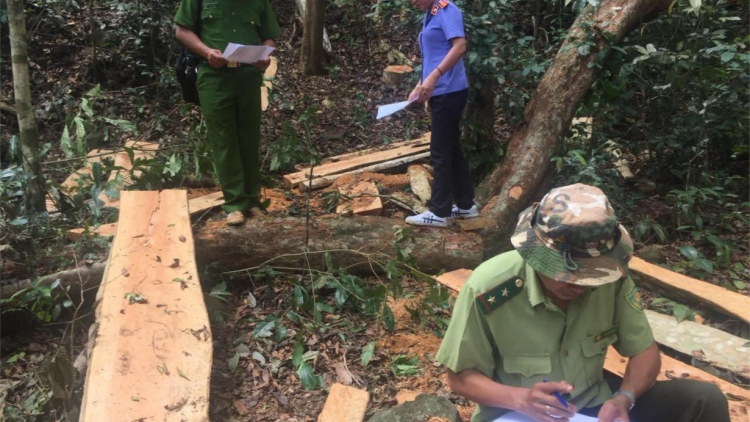 Dak Nông săm tối roh ko ‘nhê kong tât khía Thác Mơ
