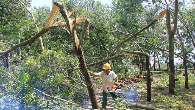 Kon Tum: Rơnêu kế tơmeăm ki tro tơ’nhê xua jâ kơdo rơvê