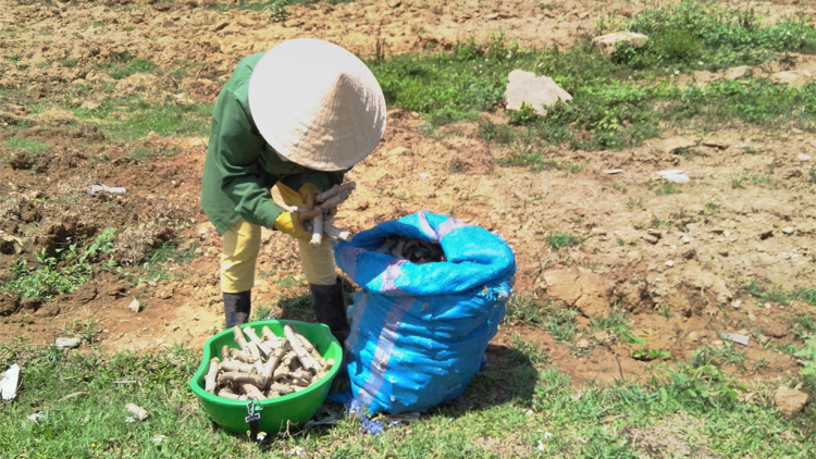 Kon Tum: ôh tá ai hdrê kông pôm vâ pêt