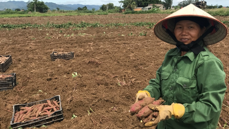 Dak Lak: Pôm ló Nhuk chu rơpâ yă mơngế ki pêt trâm pá