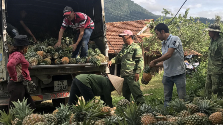 Dak Lak: Xik chu yă rơpâ ó, kuăn pơlê ôh tá vâ krí xo dêi