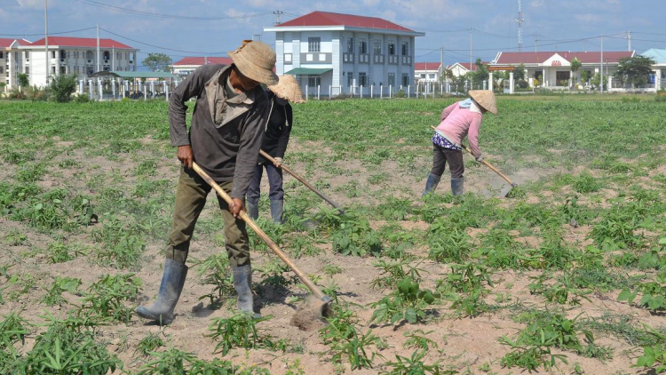Khu pêi cheăng tơru\m ‘na chiâk deăng a Gia Lai: Pơtối pêi kô pá ’na liăn, ôh tá pêi pá ‘na hngêi trăng