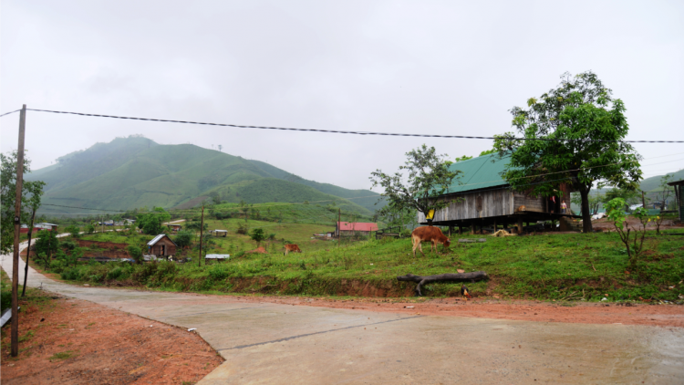 Tôtô hiâm mơno pâ mơngế a kơpong tro khía mơhot kân plong mot Yang Mao