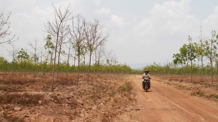 Ki phá tơ-ê tơdroăng ôh tá bê tơnêi a Tây Nguyên