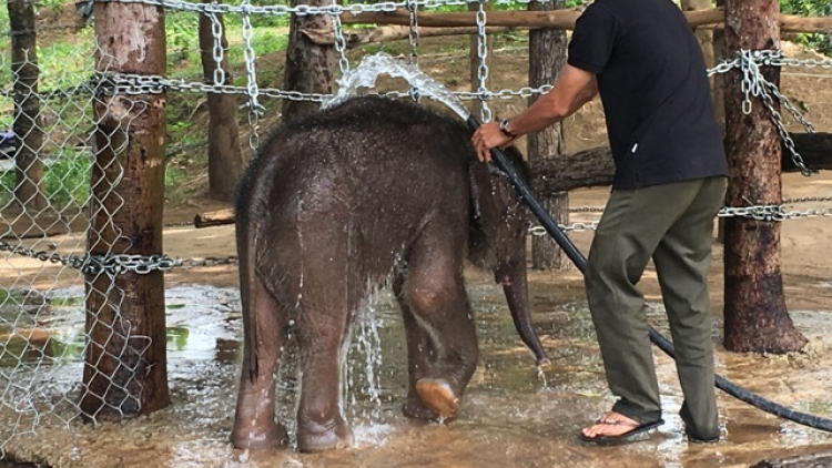 Khu tơru\m ngăn kuăn kiâ kong châu Á to\ng kum pơtối rak ngăn rui a Dak Lak