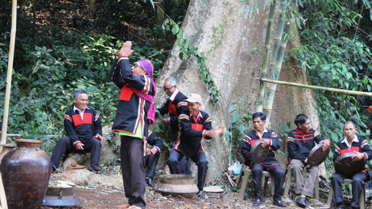 T^ng rơkâu pâ mêi dêi hdroâng Rơđế