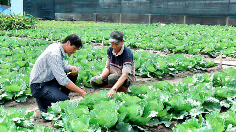 Đăk Pơ: Kuăn pơlê pêi lo liăn tơniăn sap ing pêt kơchâi drêh