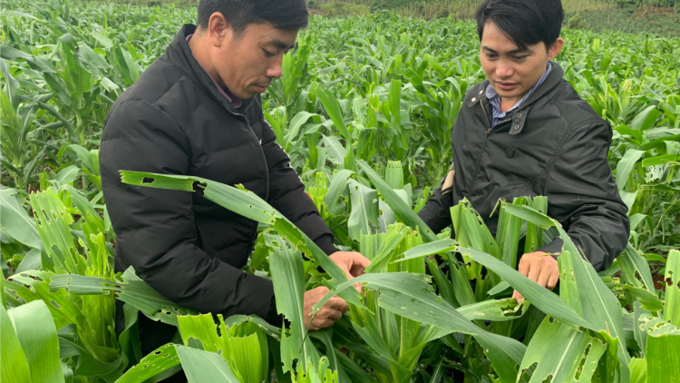 Gia Lai: Lối rơpâu ha alâi tro ôa hdrong kâ ‘nhê