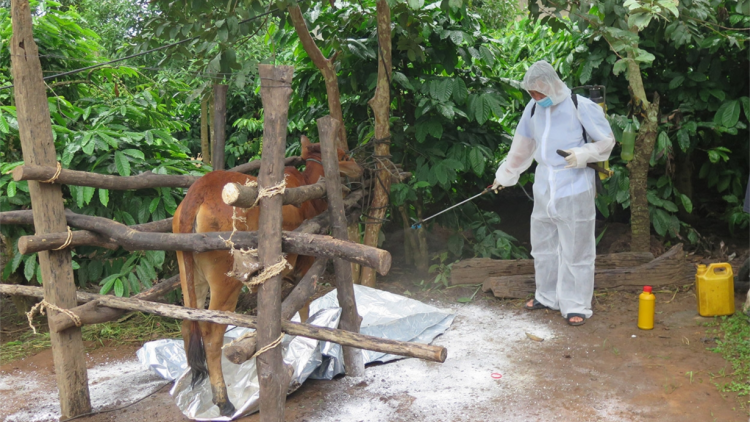 Kon Tum: Pơreăng a mơnăn mơnoâ tâ tú a tơring Đăk Hà