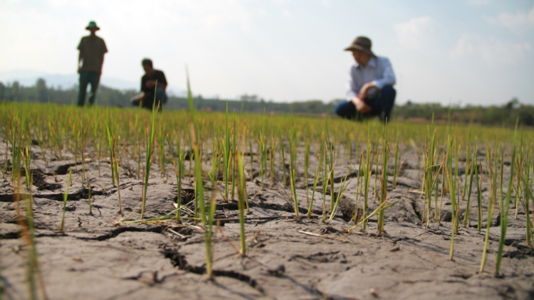 Tây Nguyên kô trâm tô mơdrăng: Troăng hơlâ ki lâi ăm 2 rơtuh ha loăng pêt{ai 1: Pá puât ti tăng têa tôh tơmeăm