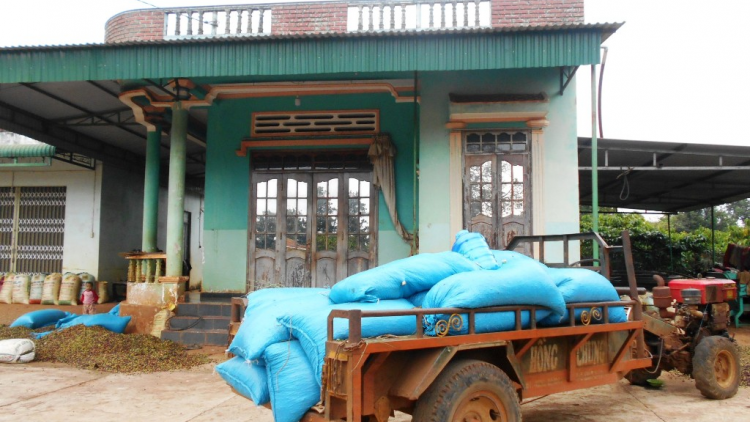 A Kut: Ngế Rơteăng ki cheăng kâ rơkê, ai tuăn hiâm hơ-ui kum ngế ki ê