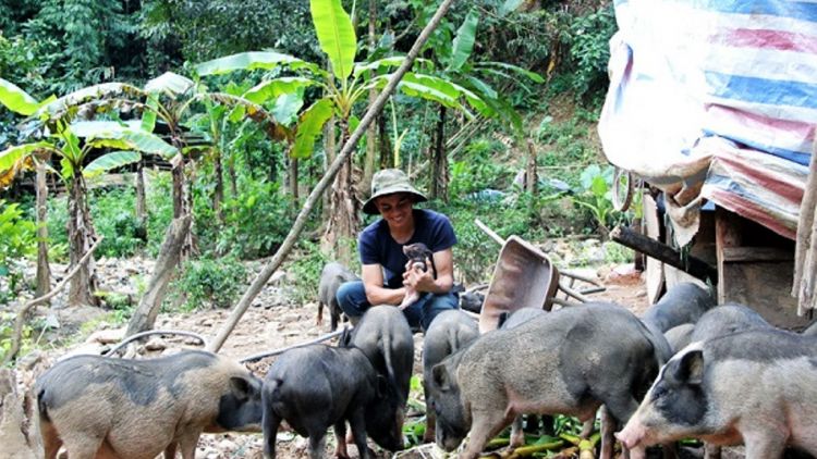 Ngế rơtăm K’ho [ă hên túa tơmiât pơxiâm cheăng ki le\m – tơviah