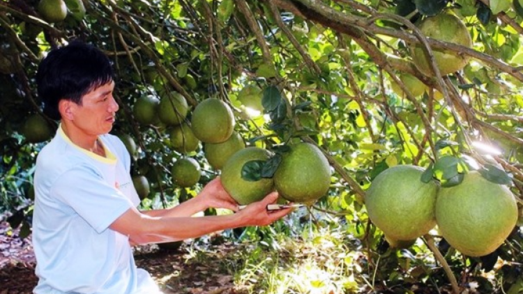 Dak Rlâp – Dak Nông: Kho\m pêi klêi tơdroăng pơkâ thôn pơlê nếo