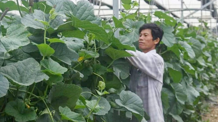 Ivá mơ-eăm dêi cheăm kơpong hngế