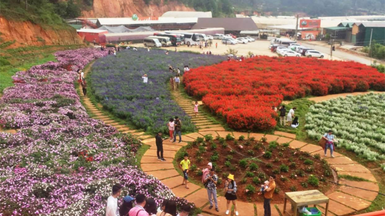 Khu ngăn ôm hyô Lâm Đồng tăng troăng tơkâ luâ xahpá