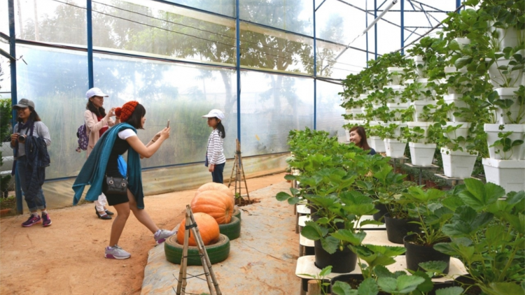 Ti lâi Đà Lạt – Lâm Đồng pơtê pơtân mơnhông ôm hyô a chiâk deăng