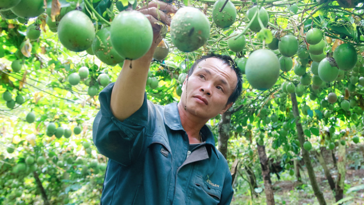 Tơring Lạc Dương (Lâm Đông) mơdon tơ’nôm hơnăm pêi klêi thôn pơlê nếo