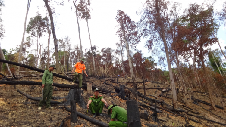Séa ngăn, pơxâu phâk mâu ngế ki pro xôi, kâ kong: Pá ƀă tơvâ drăng lâi?